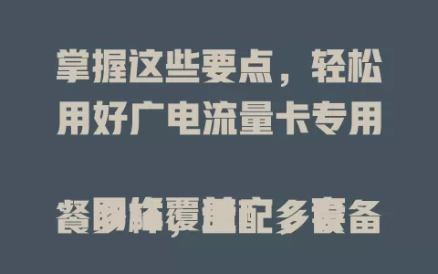 掌握这些要点，轻松用好广电流量卡专用

网络覆盖广，套餐多样，适配多设备，还有使用技巧，广电流量卡专用为你打造稳定便捷流量服务，让网络生活更精彩