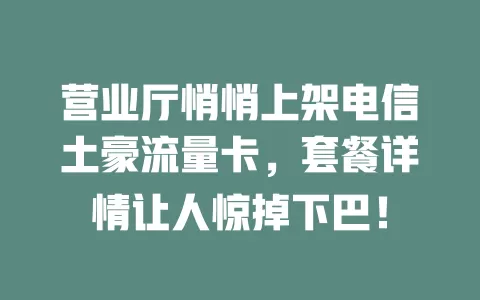 营业厅悄悄上架电信土豪流量卡，套餐详情让人惊掉下巴！