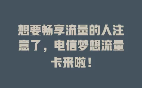 想要畅享流量的人注意了，电信梦想流量卡来啦！