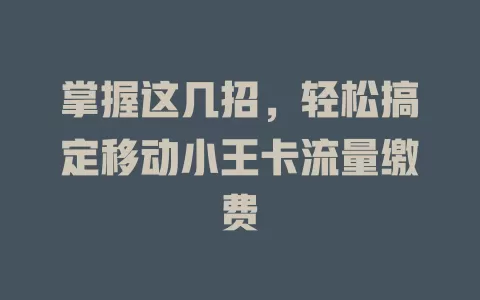 掌握这几招，轻松搞定移动小王卡流量缴费
