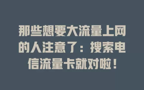 那些想要大流量上网的人注意了：搜索电信流量卡就对啦！
