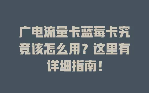 广电流量卡蓝莓卡究竟该怎么用？这里有详细指南！