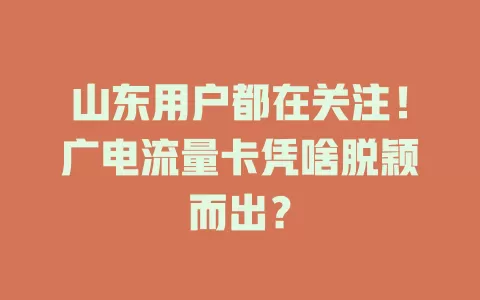 山东用户都在关注！广电流量卡凭啥脱颖而出？