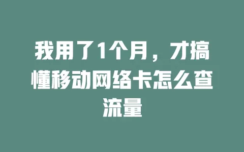 我用了1个月，才搞懂移动网络卡怎么查流量