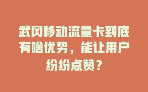 武冈移动流量卡到底有啥优势，能让用户纷纷点赞？