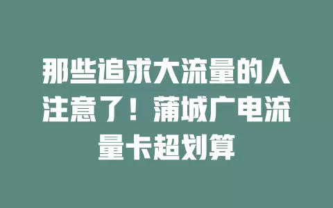 那些追求大流量的人注意了！蒲城广电流量卡超划算