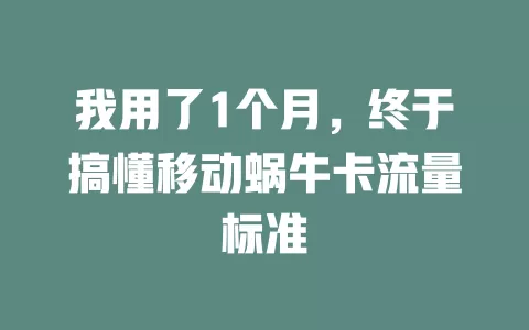 我用了1个月，终于搞懂移动蜗牛卡流量标准