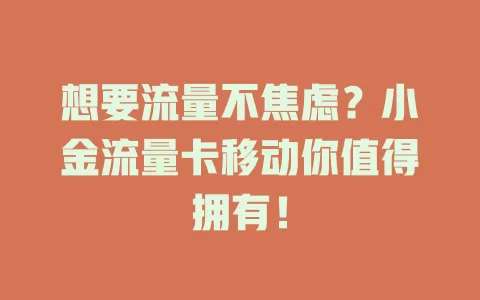 想要流量不焦虑？小金流量卡移动你值得拥有！