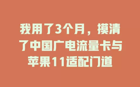 我用了3个月，摸清了中国广电流量卡与苹果11适配门道