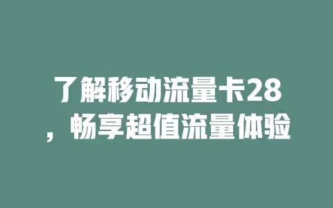 了解移动流量卡28，畅享超值流量体验