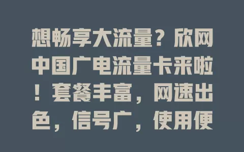 想畅享大流量？欣网中国广电流量卡来啦！套餐丰富，网速出色，信号广，使用便捷，常上网的别错过