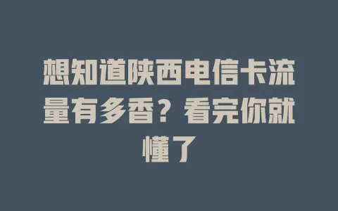 想知道陕西电信卡流量有多香？看完你就懂了