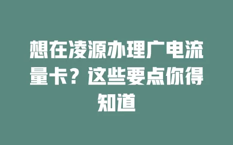 想在凌源办理广电流量卡？这些要点你得知道