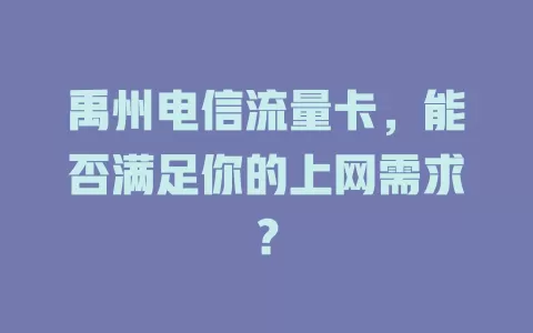 禹州电信流量卡，能否满足你的上网需求？