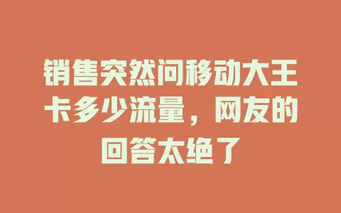 销售突然问移动大王卡多少流量，网友的回答太绝了