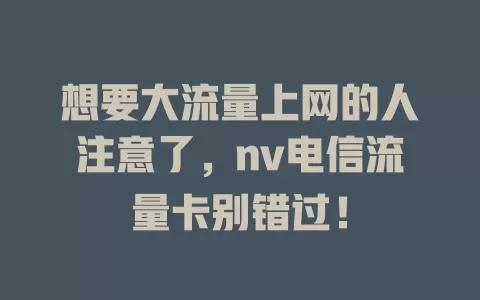想要大流量上网的人注意了，nv电信流量卡别错过！