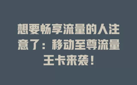 想要畅享流量的人注意了：移动至尊流量王卡来袭！