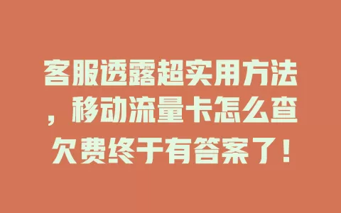 客服透露超实用方法，移动流量卡怎么查欠费终于有答案了！