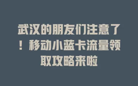 武汉的朋友们注意了！移动小蓝卡流量领取攻略来啦