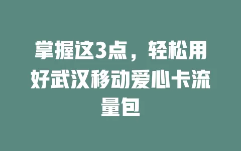 掌握这3点，轻松用好武汉移动爱心卡流量包