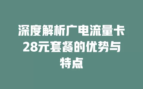 深度解析广电流量卡28元套餐的优势与特点