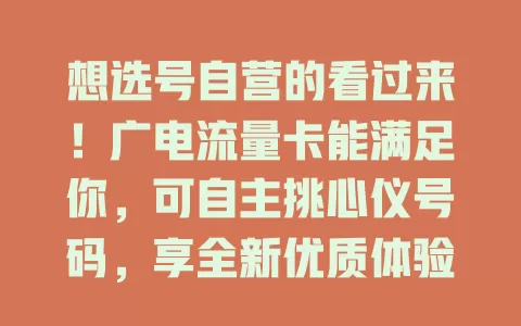 想选号自营的看过来！广电流量卡能满足你，可自主挑心仪号码，享全新优质体验