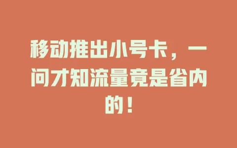 移动推出小号卡，一问才知流量竟是省内的！