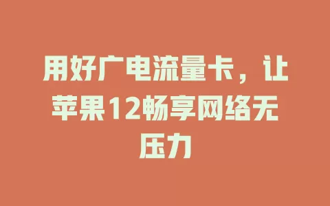 用好广电流量卡，让苹果12畅享网络无压力