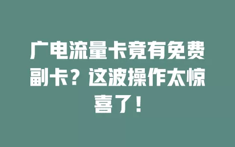 广电流量卡竟有免费副卡？这波操作太惊喜了！