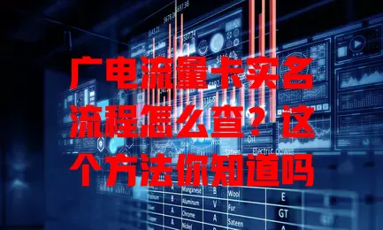 广电流量卡实名流程怎么查？这个方法你知道吗