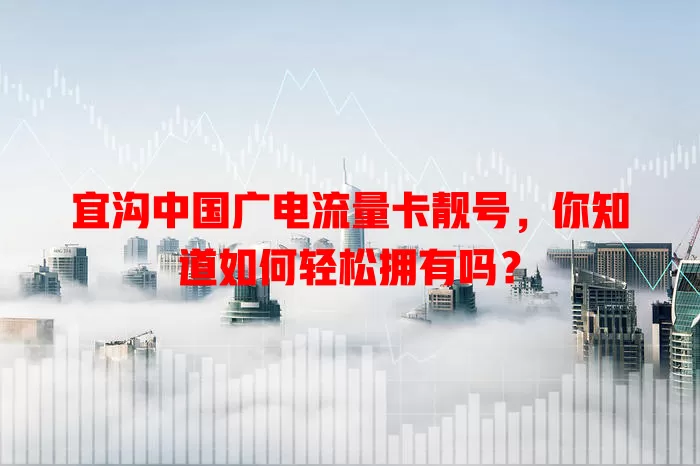 宜沟中国广电流量卡靓号，你知道如何轻松拥有吗？
