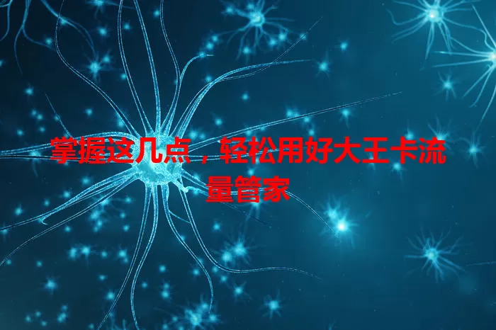 掌握这几点，轻松用好大王卡流量管家