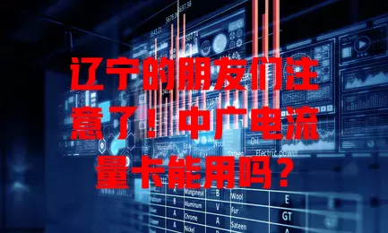 辽宁的朋友们注意了！中广电流量卡能用吗？