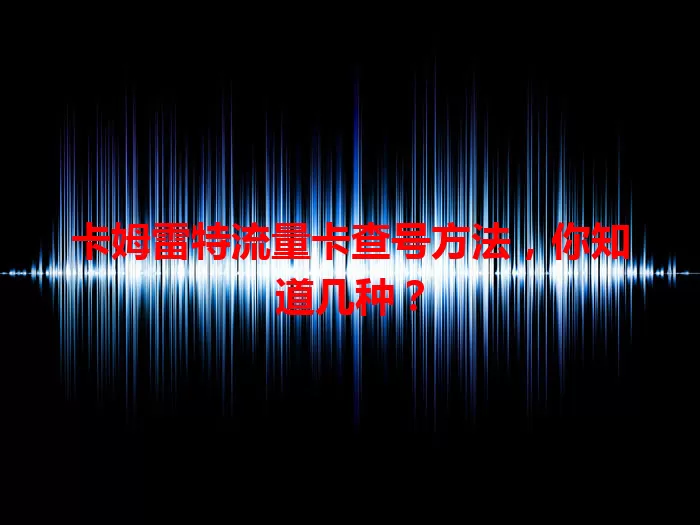 卡姆雷特流量卡查号方法，你知道几种？