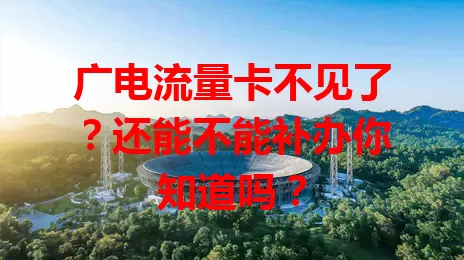 广电流量卡不见了？还能不能补办你知道吗？