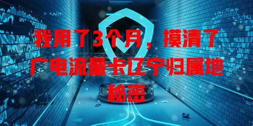 我用了3个月，摸清了广电流量卡辽宁归属地秘密