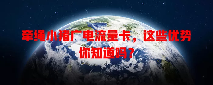 牵绳小猪广电流量卡，这些优势你知道吗？