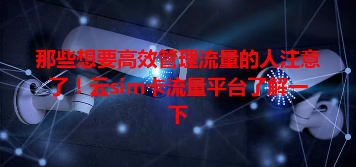 那些想要高效管理流量的人注意了！云sim卡流量平台了解一下