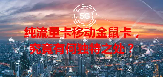 纯流量卡移动金鼠卡，究竟有何独特之处？