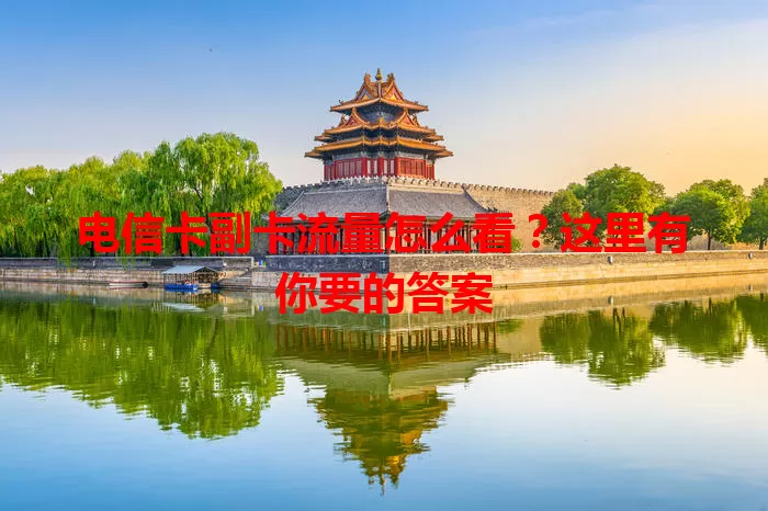 电信卡副卡流量怎么看？这里有你要的答案