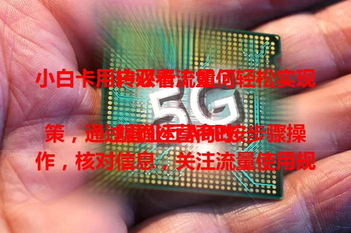 小白卡用户必看！如何轻松实现转双卡流量？

明确运营商政策，通过营业厅APP按步骤操作，核对信息，关注流量使用规则，做好准备，就能顺利转换，让手机流量更灵活高效！