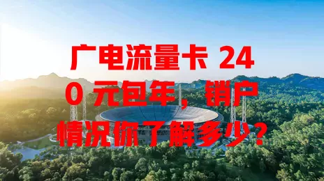 广电流量卡 240 元包年，销户情况你了解多少？