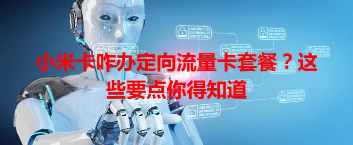 小米卡咋办定向流量卡套餐？这些要点你得知道