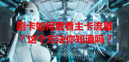 副卡如何查看主卡流量？这个方法你知道吗？