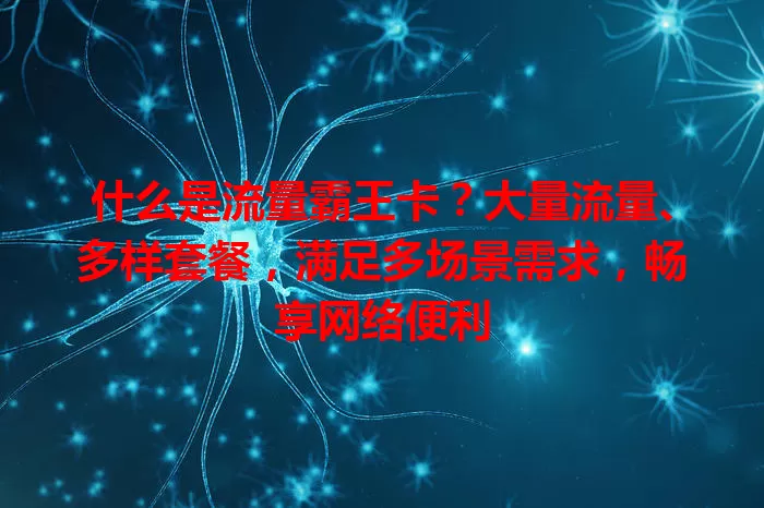 什么是流量霸王卡？大量流量、多样套餐，满足多场景需求，畅享网络便利