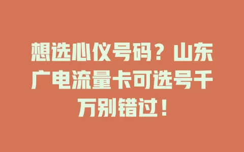 想选心仪号码？山东广电流量卡可选号千万别错过！
