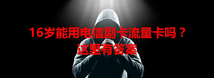 16岁能用电信副卡流量卡吗？这里有答案