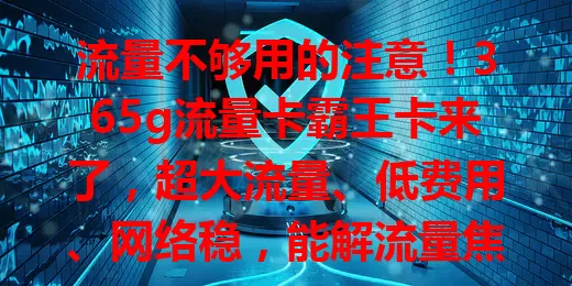 流量不够用的注意！365g流量卡霸王卡来了，超大流量、低费用、网络稳，能解流量焦虑，提供全新方案，快来看看能否掀起波澜？