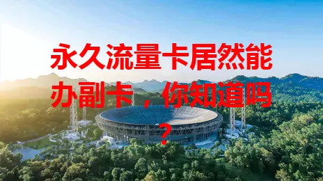 永久流量卡居然能办副卡，你知道吗？