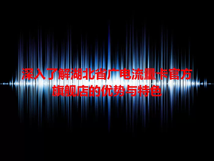 深入了解湖北省广电流量卡官方旗舰店的优势与特色